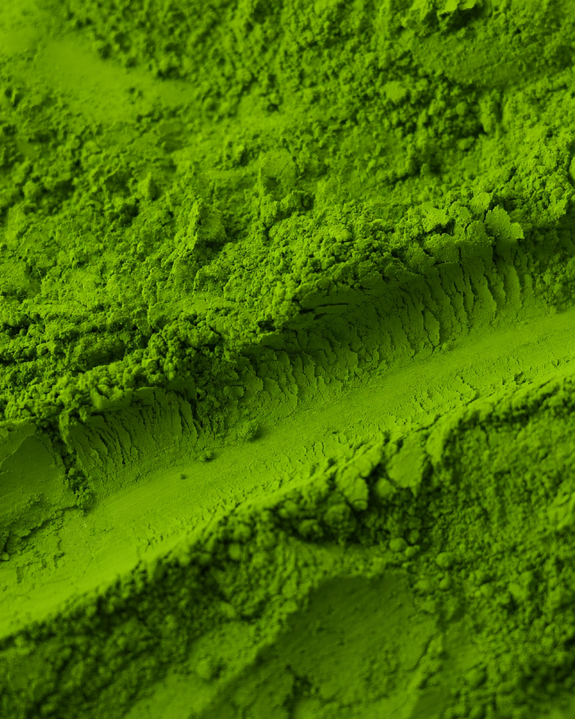 Harukaze matcha from Uji, Japan_premium ceremonial grade