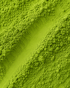 Nagisakura matcha from Uji, Japan_ceremonial grade