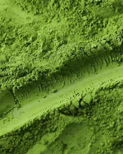 Wakabakaze matcha from kumomoto, Japan_premium ceremonial grade