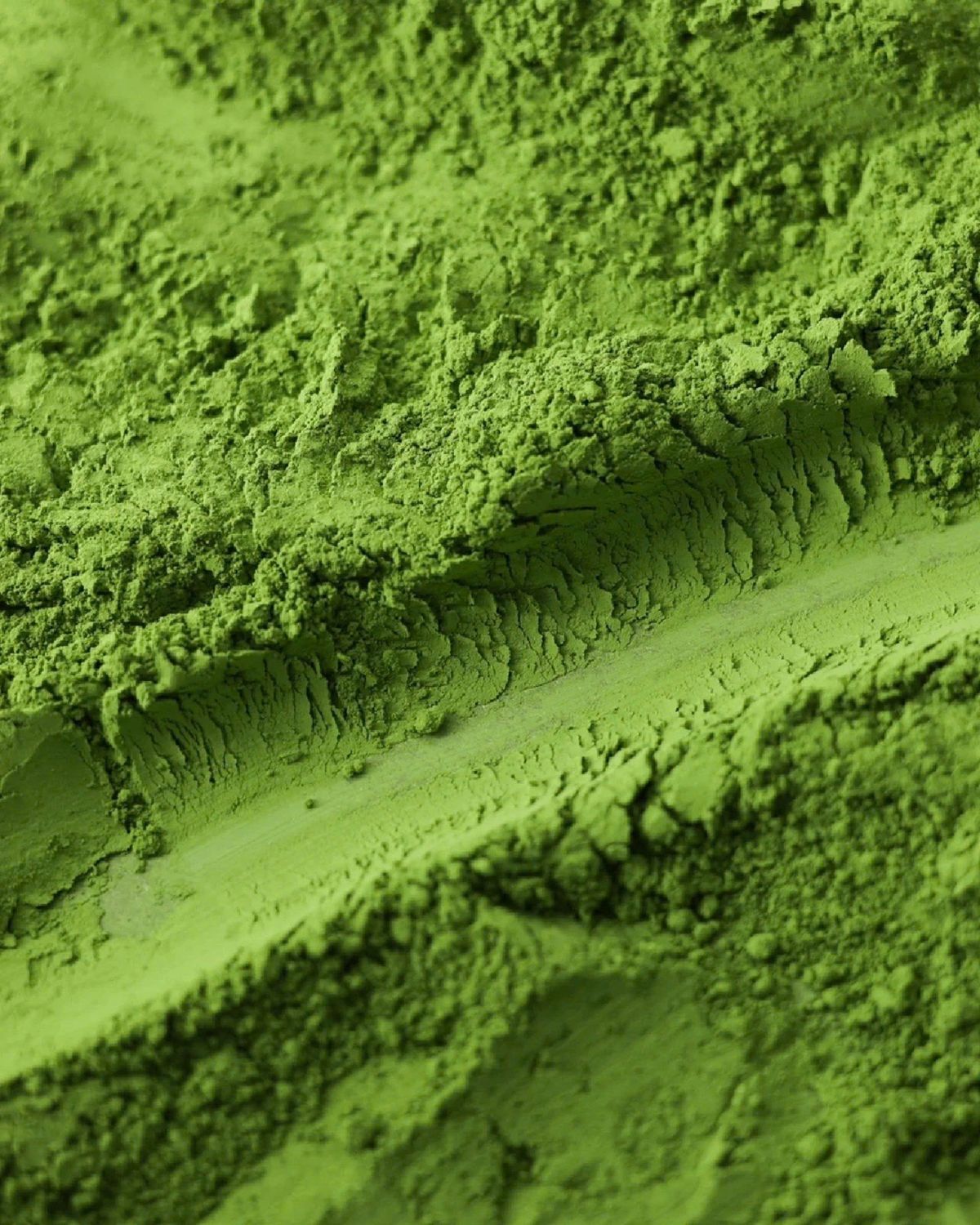 Wakabakaze matcha from kumomoto, Japan_premium ceremonial grade