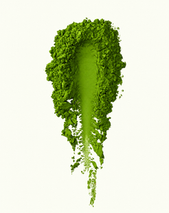 matcha tea powder